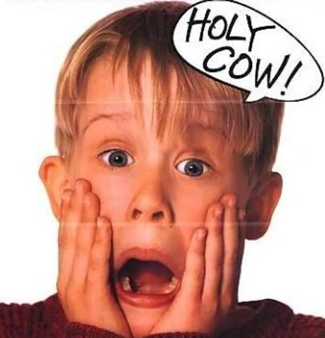 Maman j'ai raté l'avion Airbnb